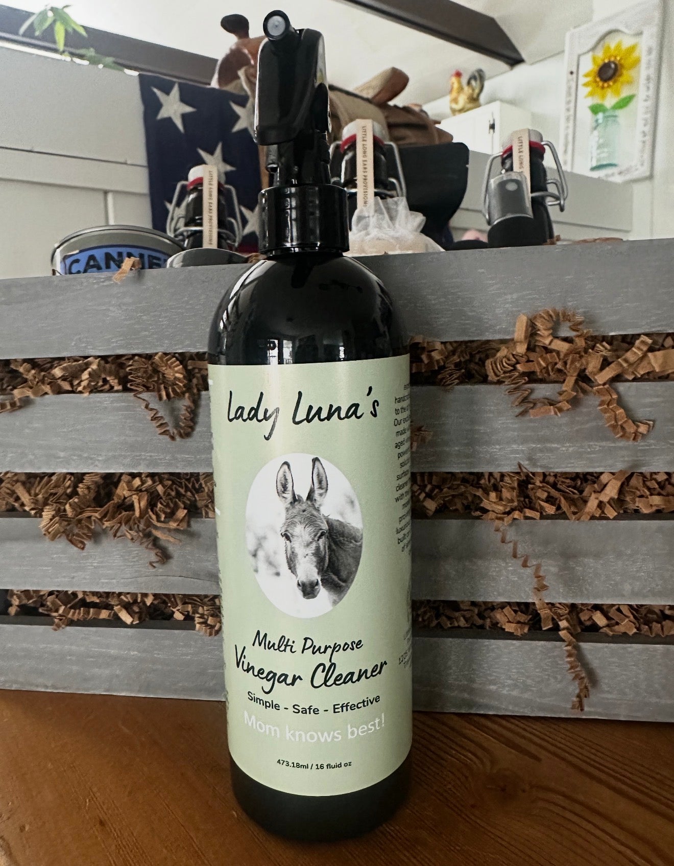 Lady Luna Cleaning Vinegar